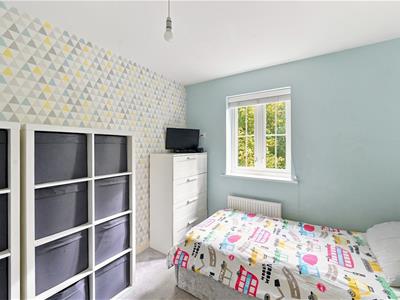 Picture 21